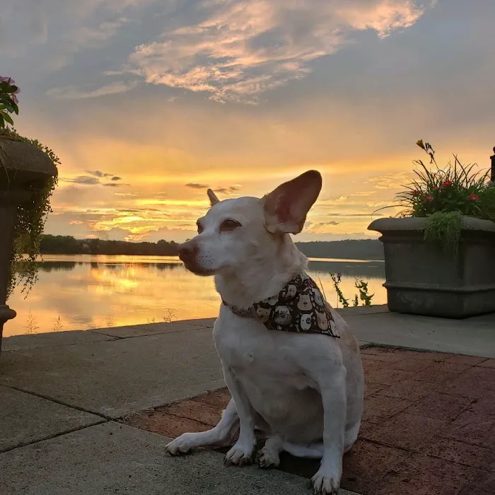 Georgetown Animal Hospital Picture 9