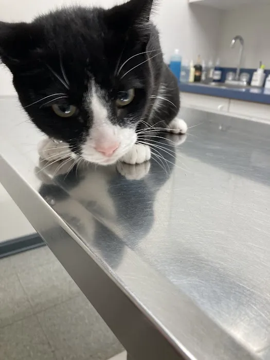 Mt. Orab Veterinary Clinc Picture 4