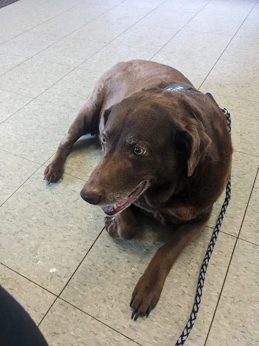 Mt. Orab Veterinary Clinc Picture 5