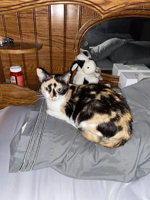 Mt. Orab Veterinary Clinc Picture 10