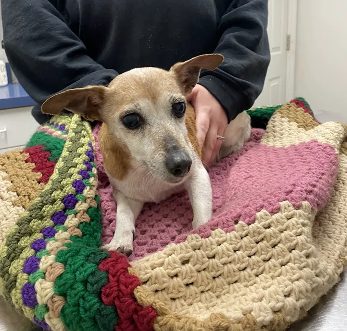 Mt. Orab Veterinary Clinc Picture 1