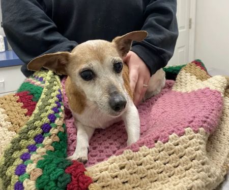 Mt. Orab Veterinary Clinc