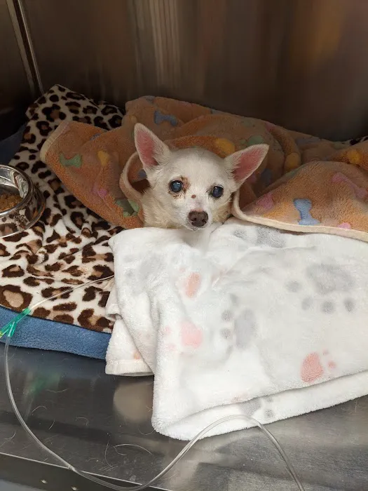 Mt. Orab Veterinary Clinc Picture 8