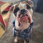 Sunnyside Veterinary Clinic