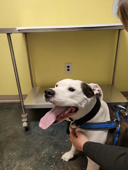 Sunnyside Veterinary Clinic Picture 6