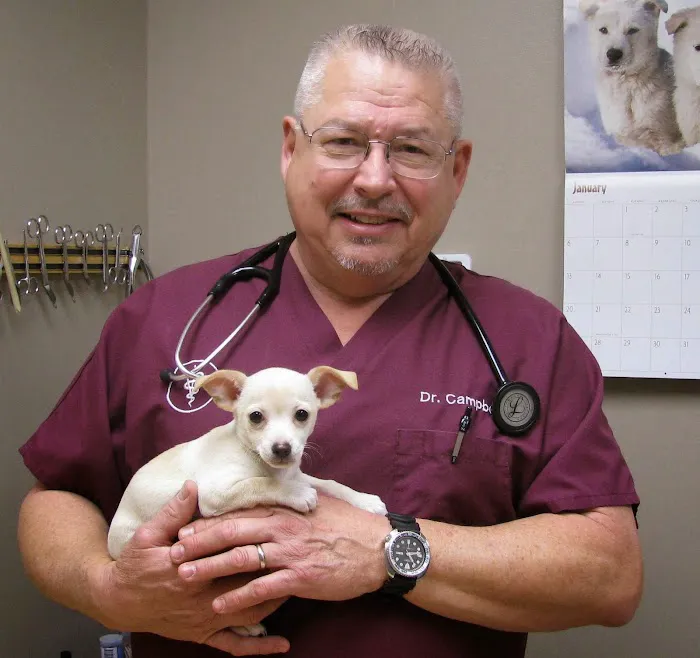 Campbell N T DVM Picture 8