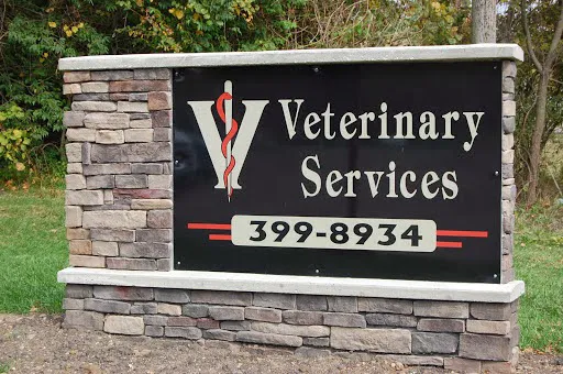 Veterinary Services Picture 4