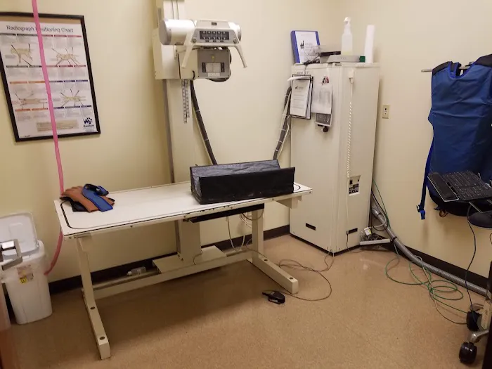 VCA Northwood Animal Hospital Picture 1