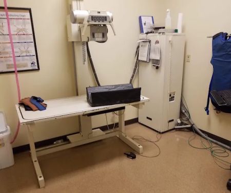 VCA Northwood Animal Hospital