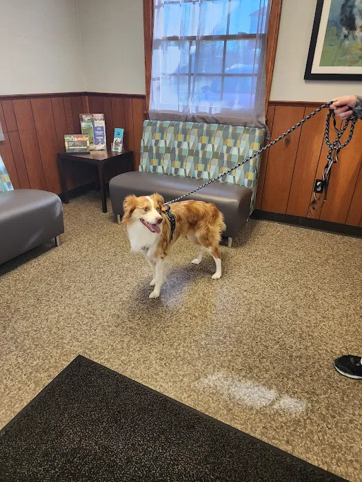 Mad River Vet Hospital East Picture 5