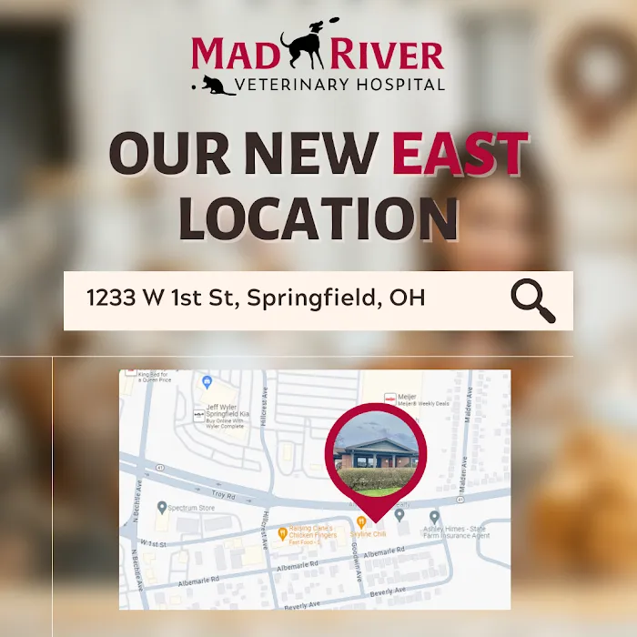 Mad River Vet Hospital East Picture 8