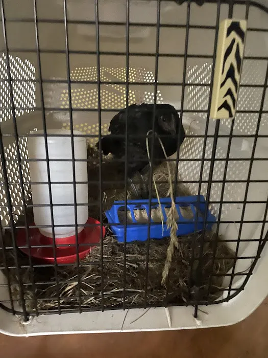 Nurture Animal Clinic Picture 5