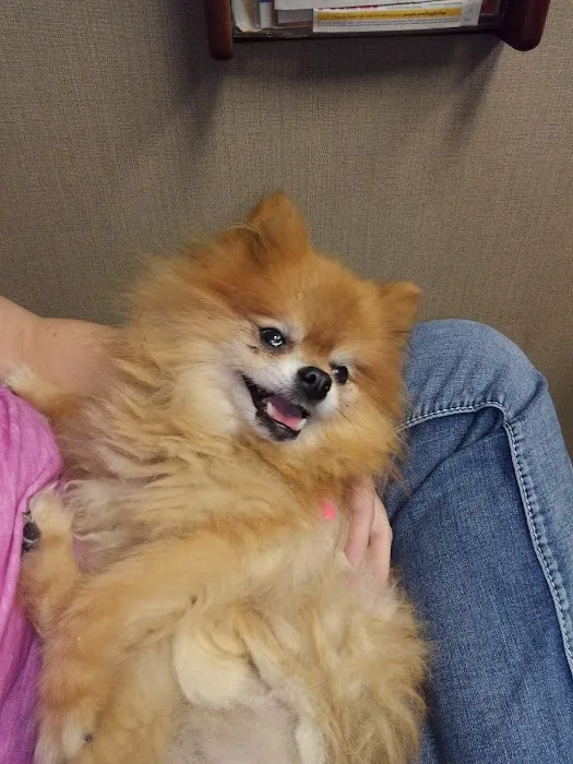 Hillside Small Animal Hospital Picture 1