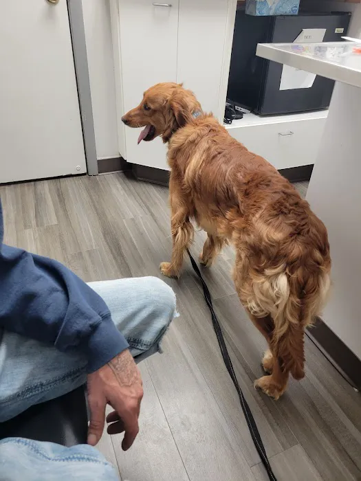 Seven Hills Pet Clinic Picture 2