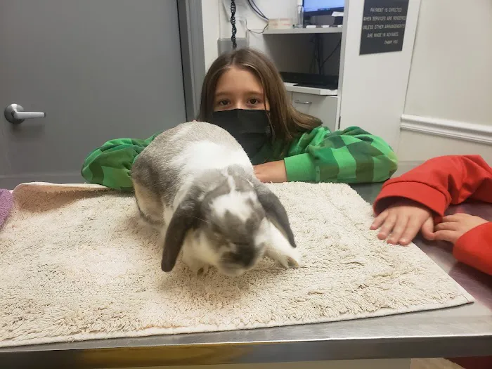 Seven Hills Pet Clinic Picture 7