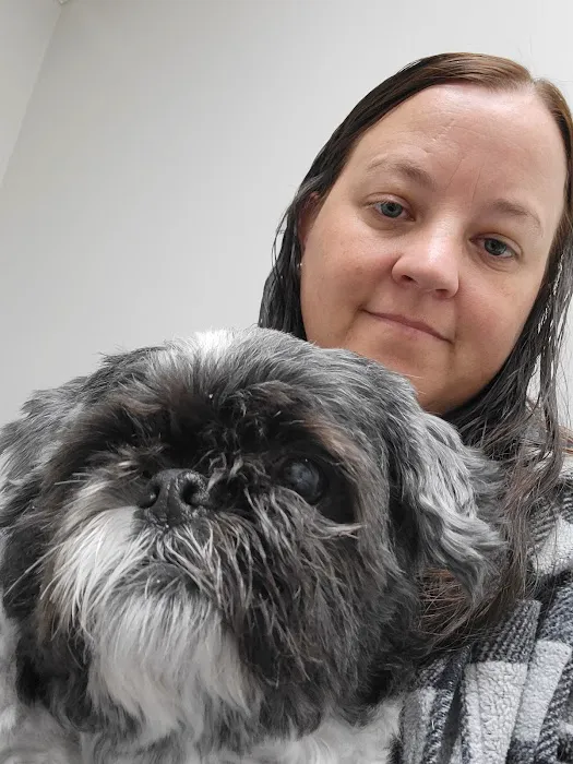 Seven Hills Pet Clinic Picture 9