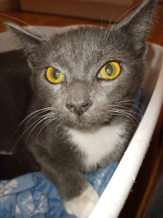 Family Animal Hospital Picture 8