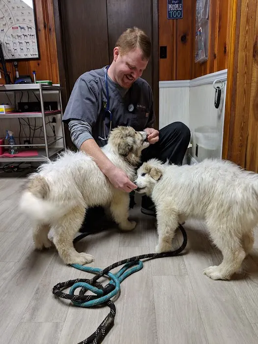 Caesar Creek Animal Clinic Picture 6