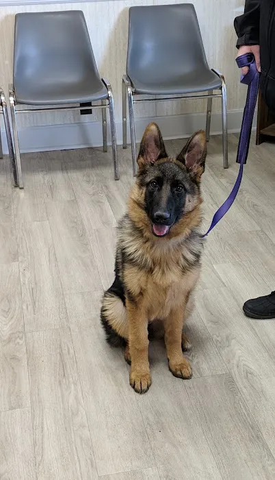 Caesar Creek Animal Clinic Picture 5