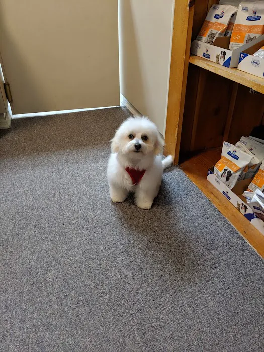Caesar Creek Animal Clinic Picture 8
