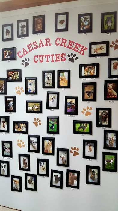 Caesar Creek Animal Clinic Picture 2
