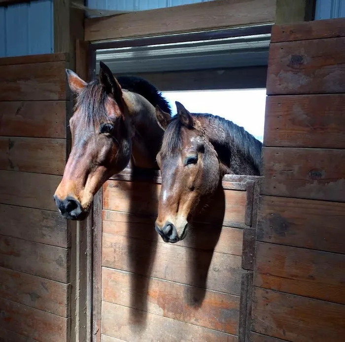 The Pony Express Veterinary Hospital Picture 9