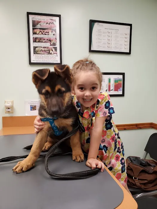 The Pony Express Veterinary Hospital Picture 6