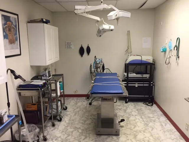 Lebanon Animal Hospital Picture 8