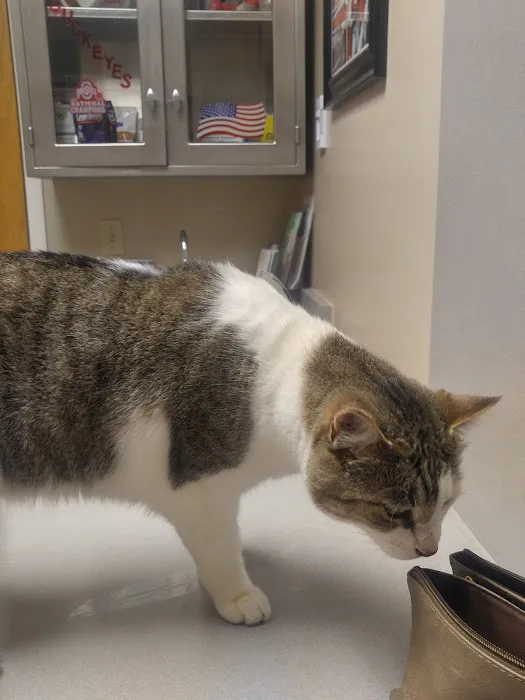 Waynesville Veterinary Hospital Picture 1