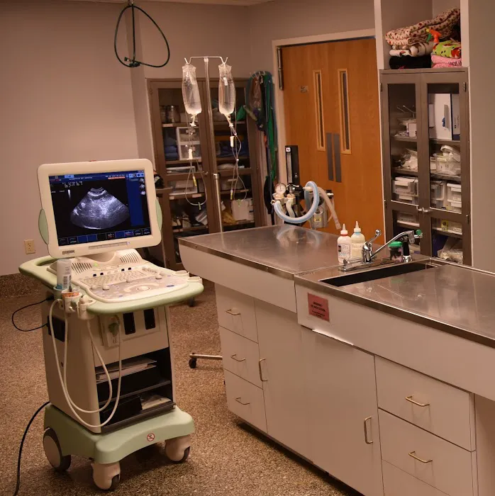 Waynesville Veterinary Hospital Picture 4