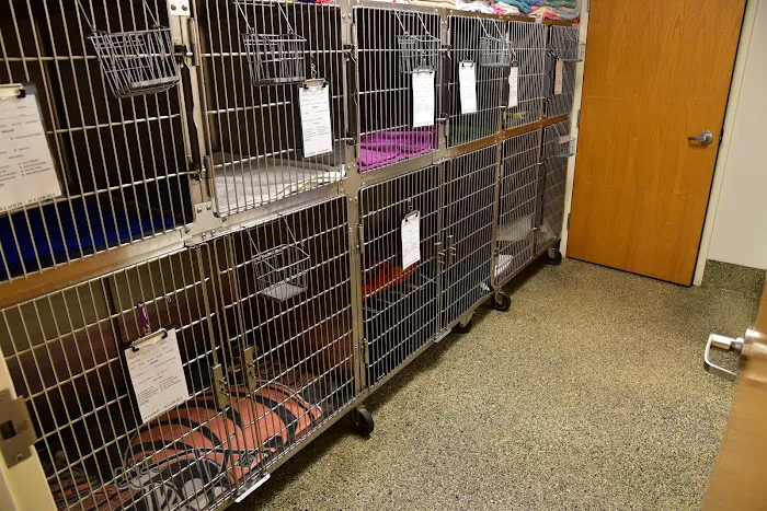Waynesville Veterinary Hospital Picture 3