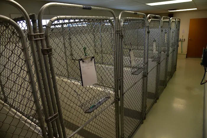 Waynesville Veterinary Hospital Picture 7