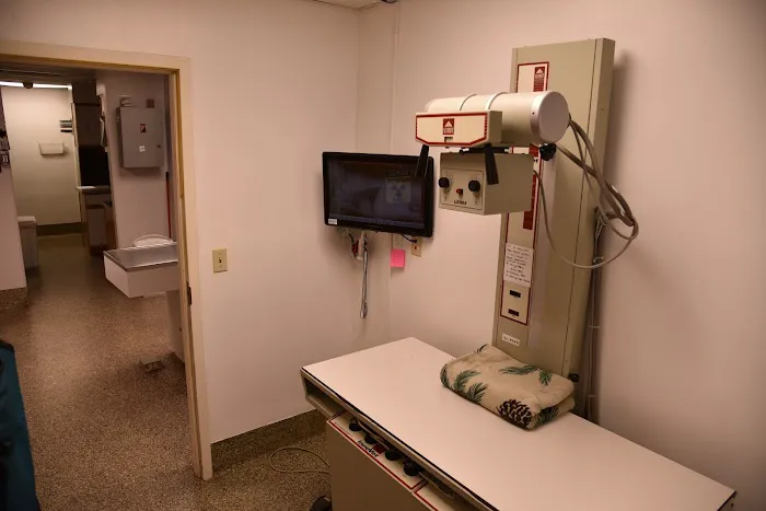 Waynesville Veterinary Hospital Picture 2