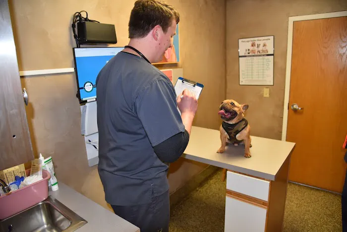 Waynesville Veterinary Hospital Picture 5