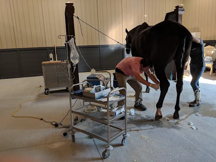 EQuiVET Medicine Inc Picture 10