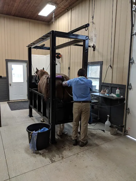 EQuiVET Medicine Inc Picture 4