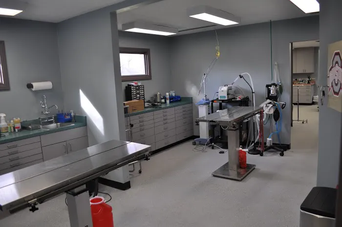 Covenant Animal Clinic - Bellbrook Picture 8