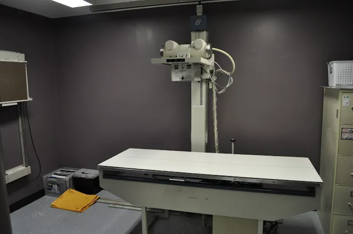 Covenant Animal Clinic - Bellbrook Picture 7