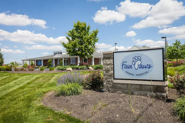 Four Paws Animal Hospital Picture 5