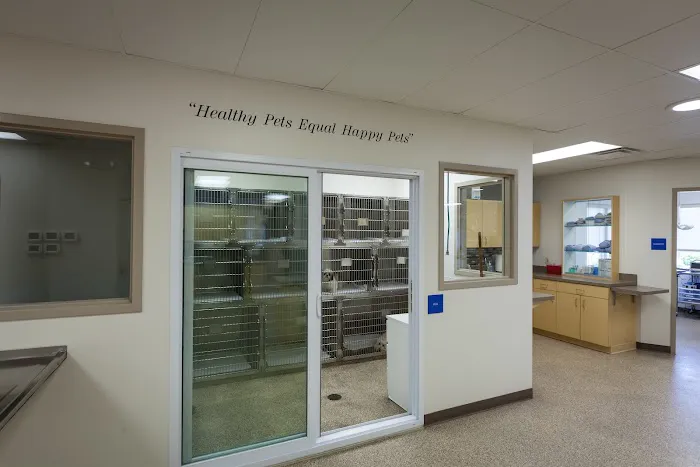 Four Paws Animal Hospital Picture 8