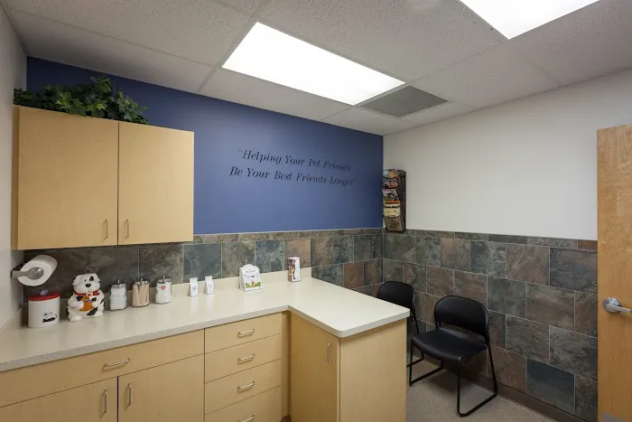 Four Paws Animal Hospital Picture 6
