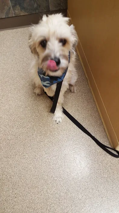 Four Paws Animal Hospital Picture 9