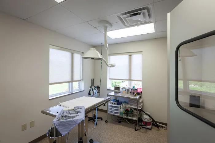 Four Paws Animal Hospital Picture 7