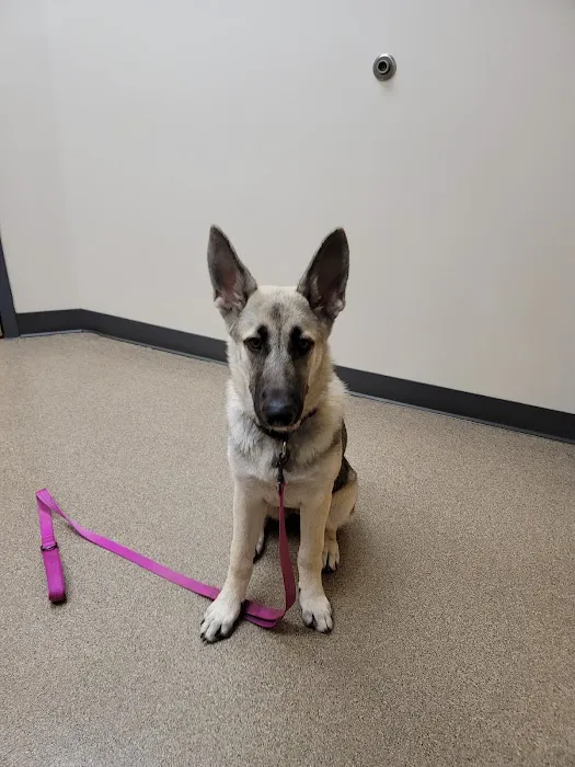 Four Paws Animal Hospital Picture 2