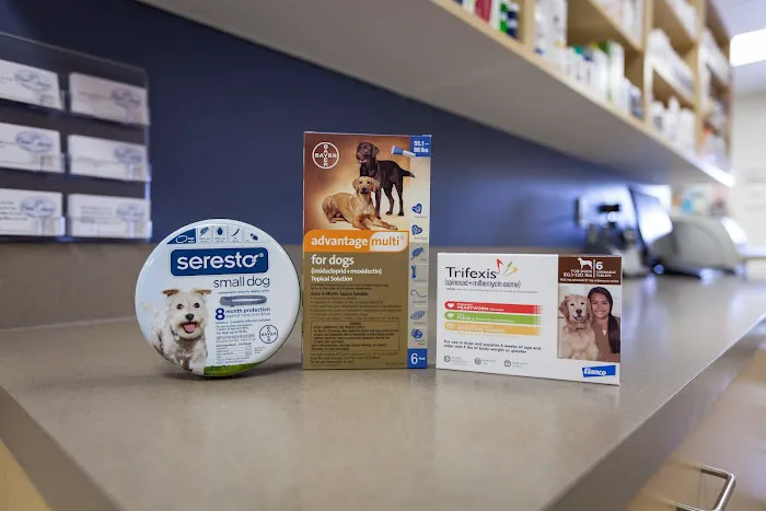 Four Paws Animal Hospital Picture 4