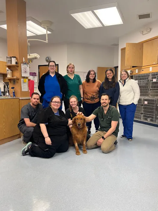 Healthy Pets of Lewis Center Picture 2