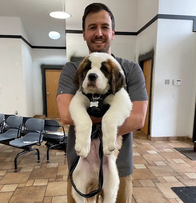 Healthy Pets of Lewis Center Picture 10