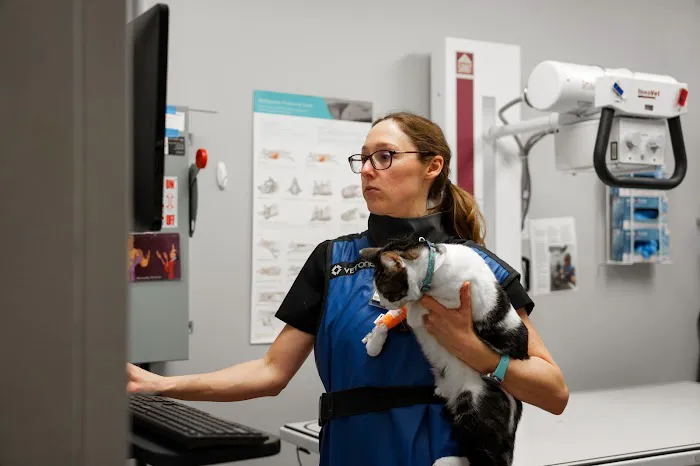 COVE Pet Care Picture 8