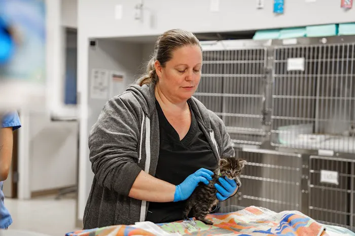 COVE Pet Care Picture 10