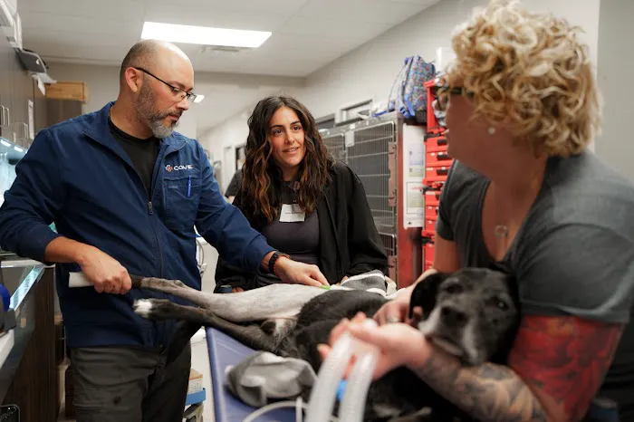 COVE Pet Care Picture 3